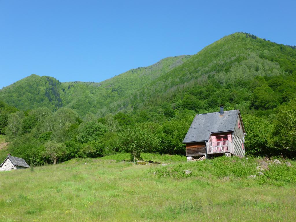 Les Chalets De La Foret D'Issaux Osse-en-Aspe 외부 사진