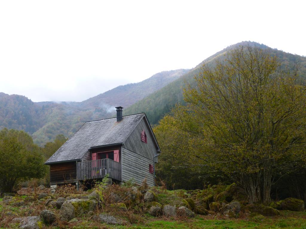 Les Chalets De La Foret D'Issaux Osse-en-Aspe 외부 사진