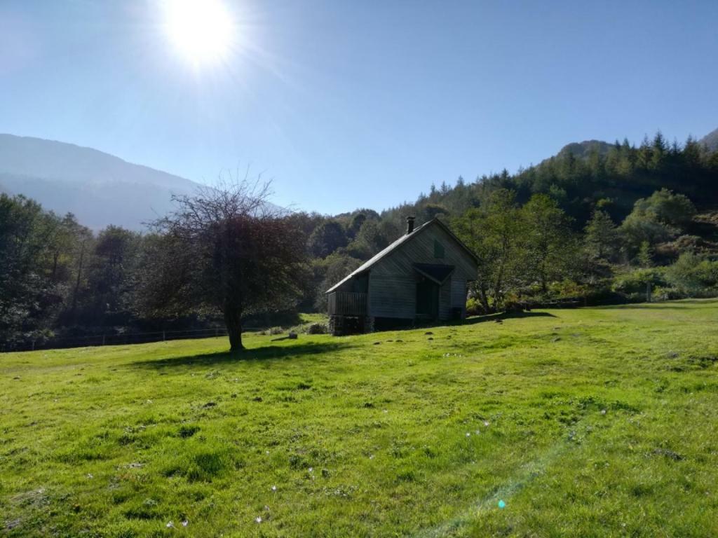 Les Chalets De La Foret D'Issaux Osse-en-Aspe 외부 사진